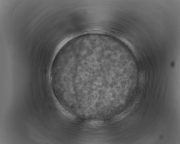 X0000094171466200711241519