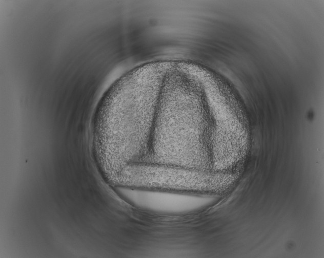 X0000094171467200711241519