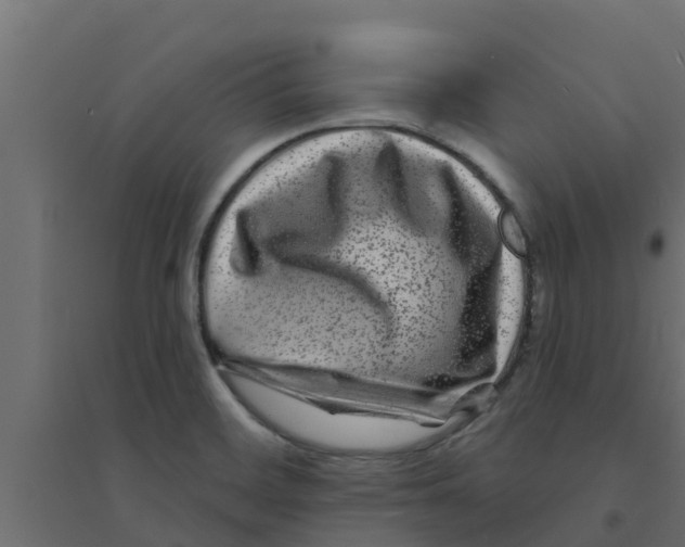 X0000094171468200711241519