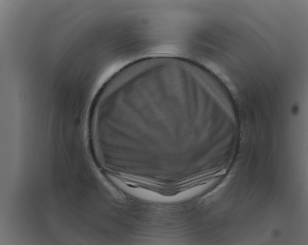 X0000094171469200711241519