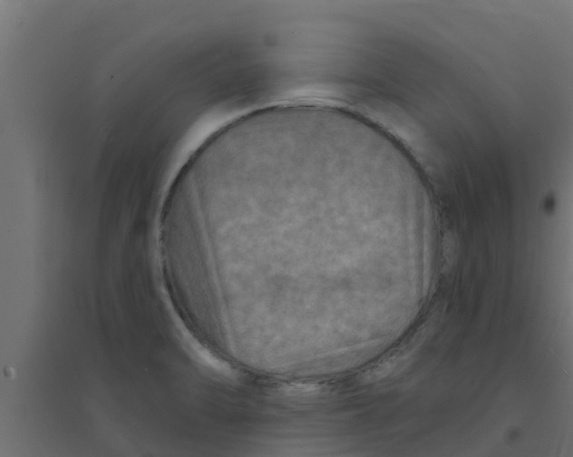 X0000094171470200711241519