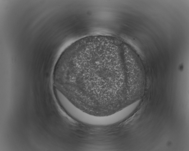 X0000094171471200711241519