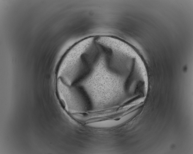 X0000094171472200711241519