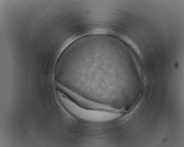 X0000094171473200711241519