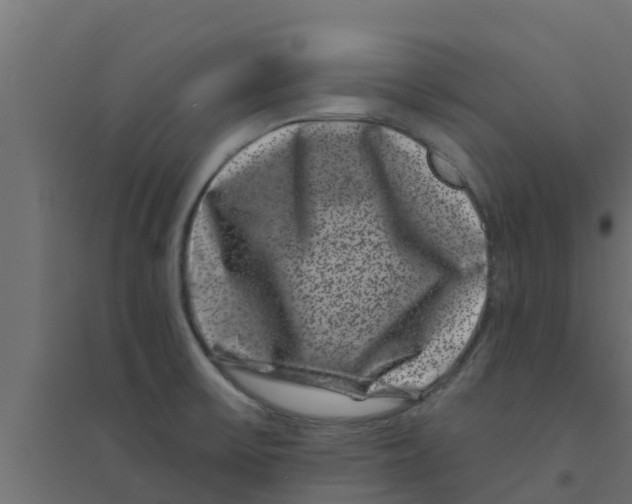 X0000094171475200711241519