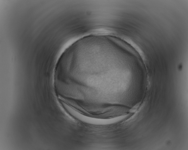 X0000094171477200711241519