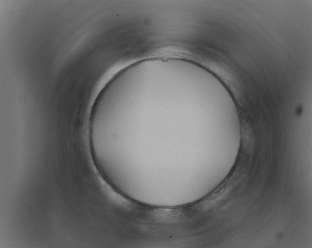 X0000094171478200711241519