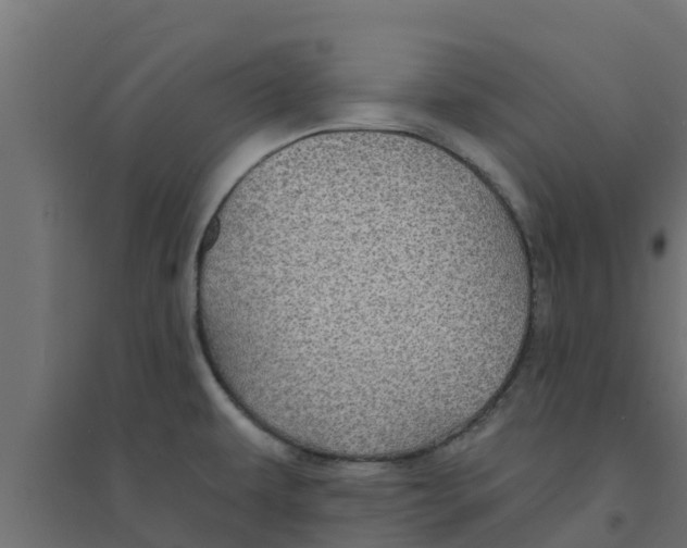 X0000094171479200711241519