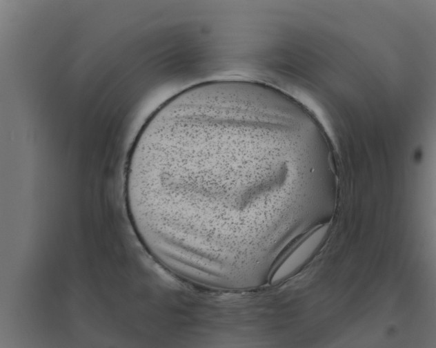 X0000094171480200711241519