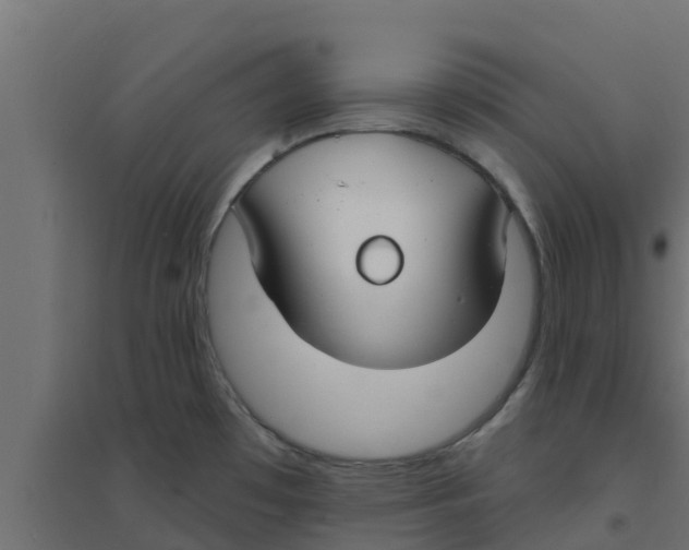 X0000094171481200711241519