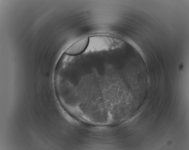 X0000094171482200711241519