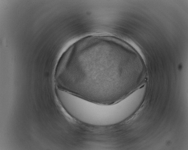 X0000094171485200711241519