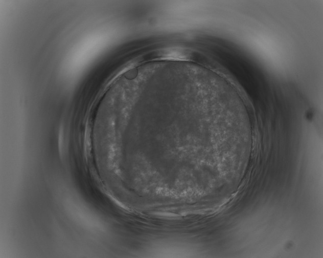 X0000094171487200711241519