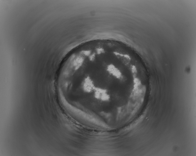 X0000094171497200711241519