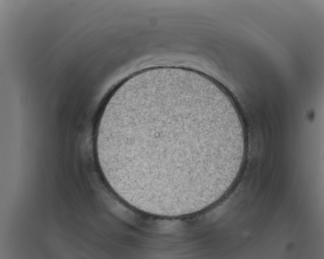 X0000094171498200711241519