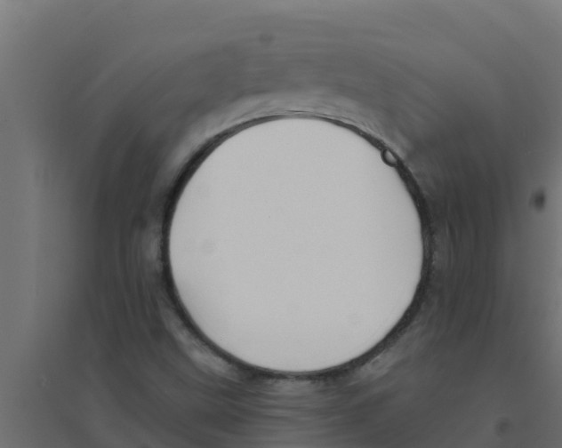 X0000094171499200711241519