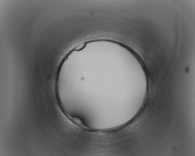 X0000094171500200711241519