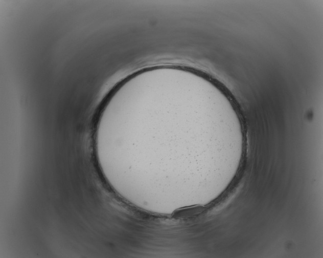 X0000094171501200711241519