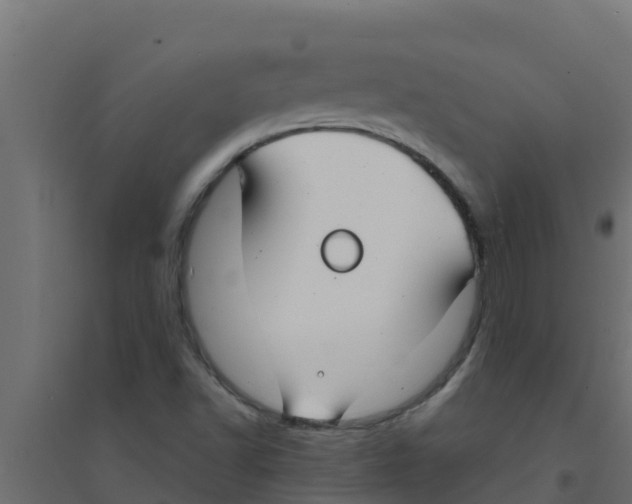 X0000094171502200711241519