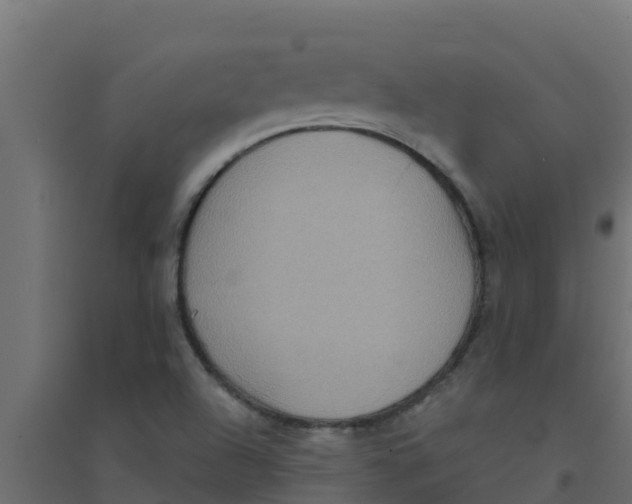 X0000094171504200711241519