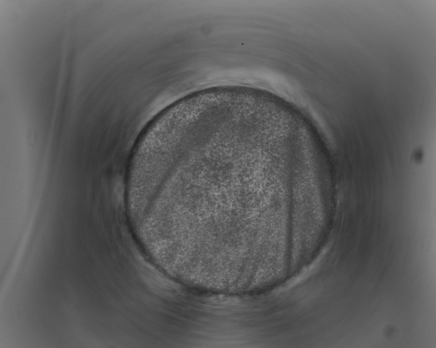 X0000094171505200711241519