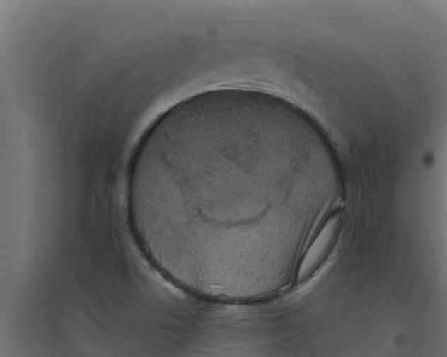 X0000094171506200711241519