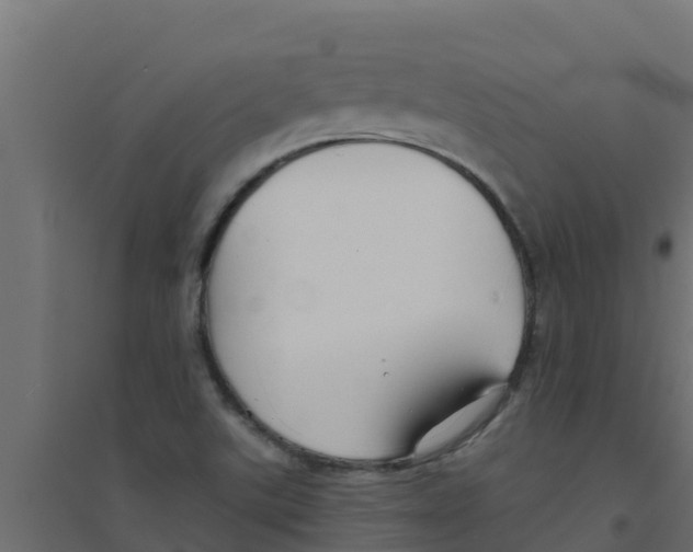 X0000094171507200711241519