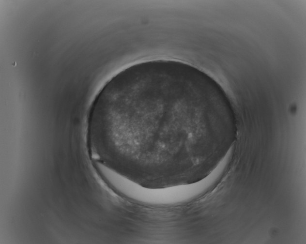 X0000094171508200711241519