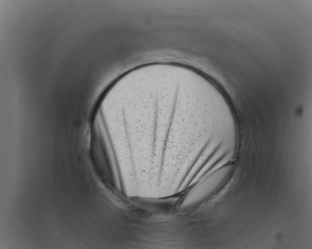 X0000094171509200711241519