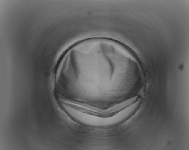 X0000094171510200711241519