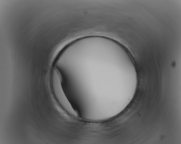 X0000094171511200711241519