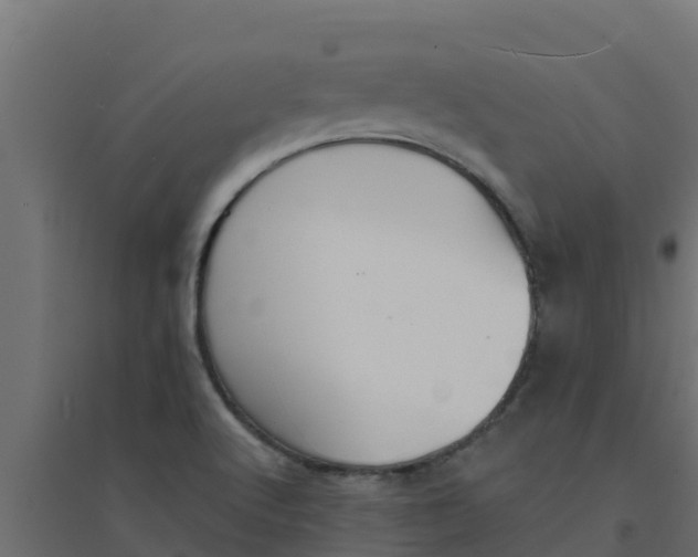 X0000094171512200711241519