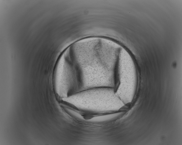 X0000094171513200711241519