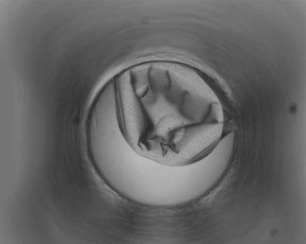 X0000094171514200711241519