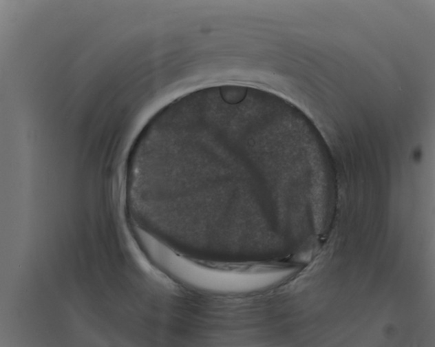 X0000094171515200711241519