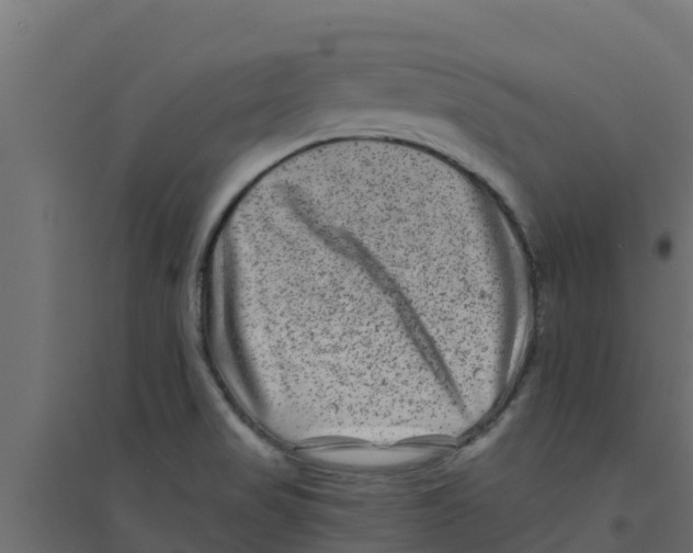 X0000094171517200711241519