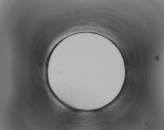 X0000094171518200711241519