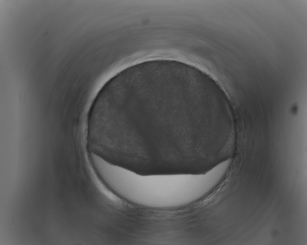 X0000094171519200711241519