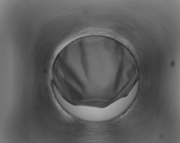 X0000094171520200711241519