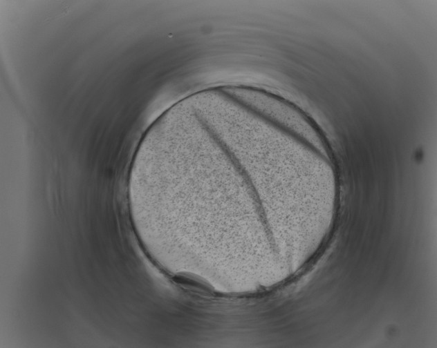 X0000094171521200711241519