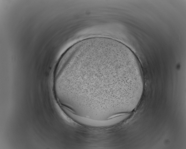 X0000094171523200711241519