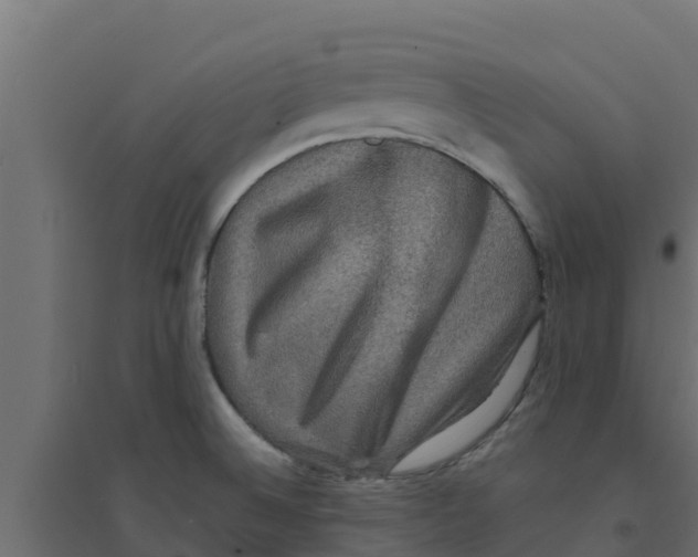 X0000094171524200711241519