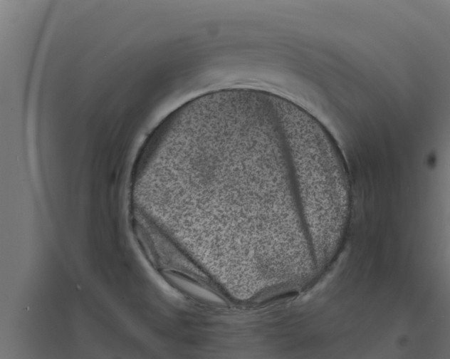 X0000094171525200711241519