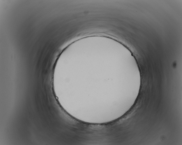 X0000094171526200711241519