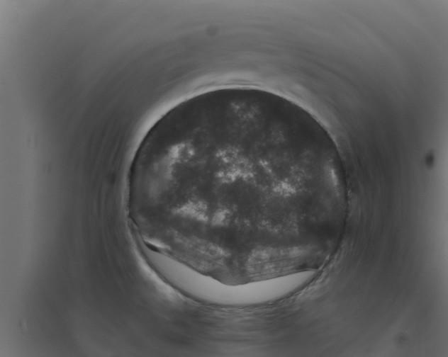 X0000094171527200711241519