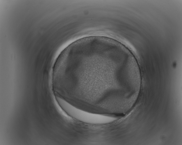 X0000094171528200711241519