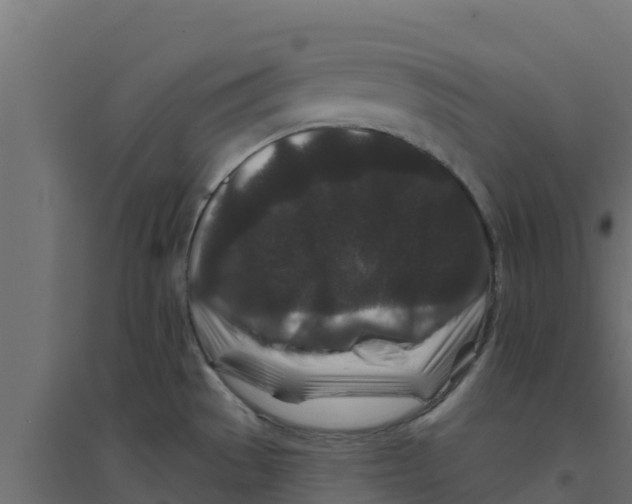 X0000094171529200711241519