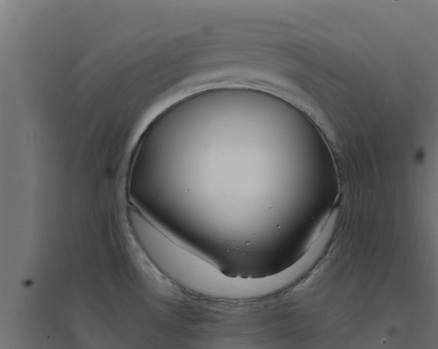 X0000094171530200711241519