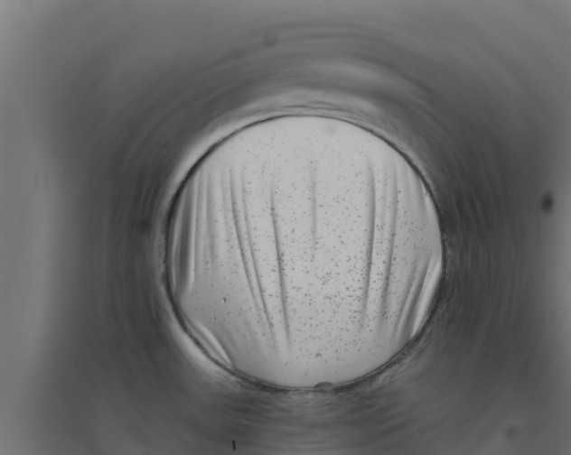 X0000094171531200711241519