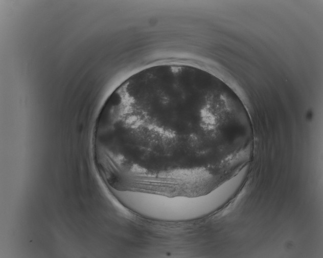 X0000094171533200711241519